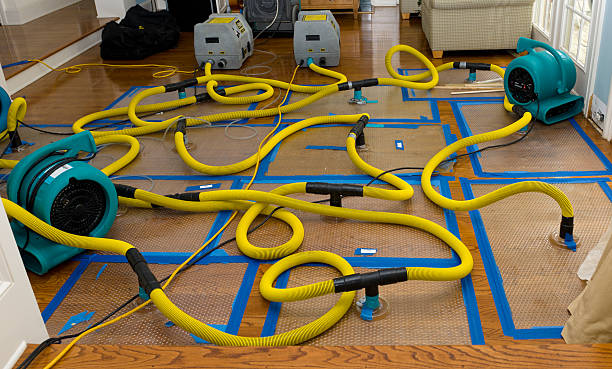 Professional Structural Drying And Dehumidification technician working in Glenville, CT